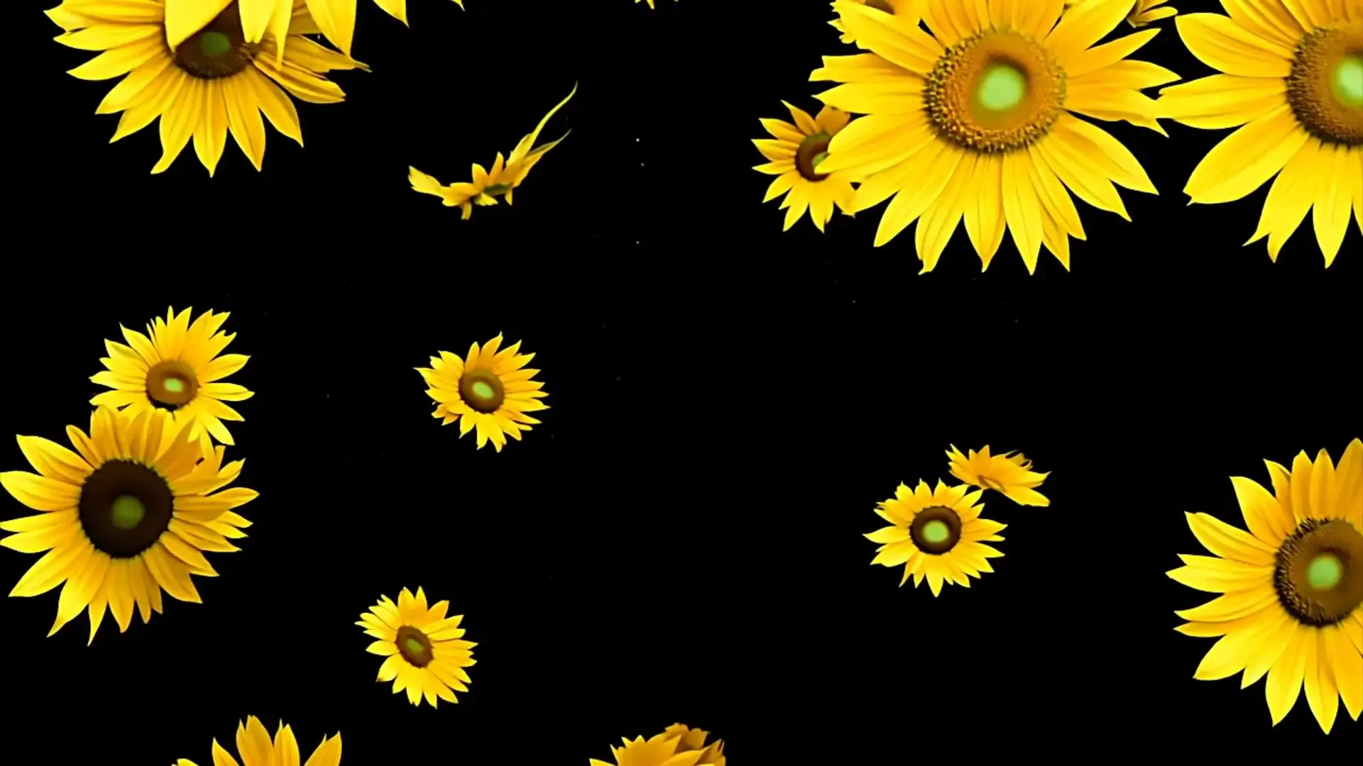 Vibrant Yellow Flower Overlay for Cheerful Spring Videos